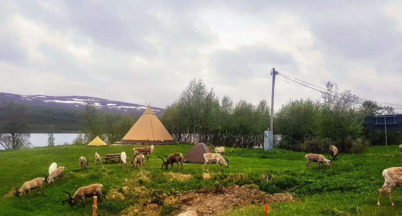 Fjâllnäs Camping&Lodges Ostra Malmagen Exterior foto